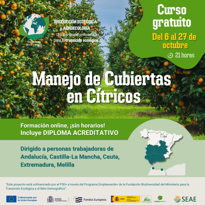 Curso online 